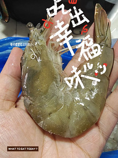 大虾，你敢挑战吗？