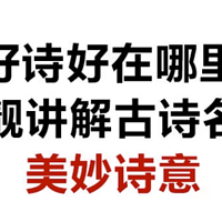 《好诗好在哪里》：探寻诗人之魂，感悟诗词之美