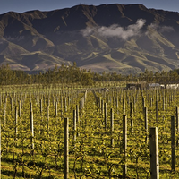 新西兰葡萄酒，怀塔基河谷-Waitaki Valley