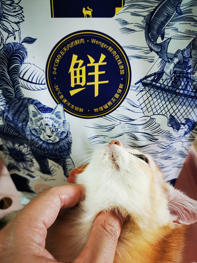 麦富迪猫粮