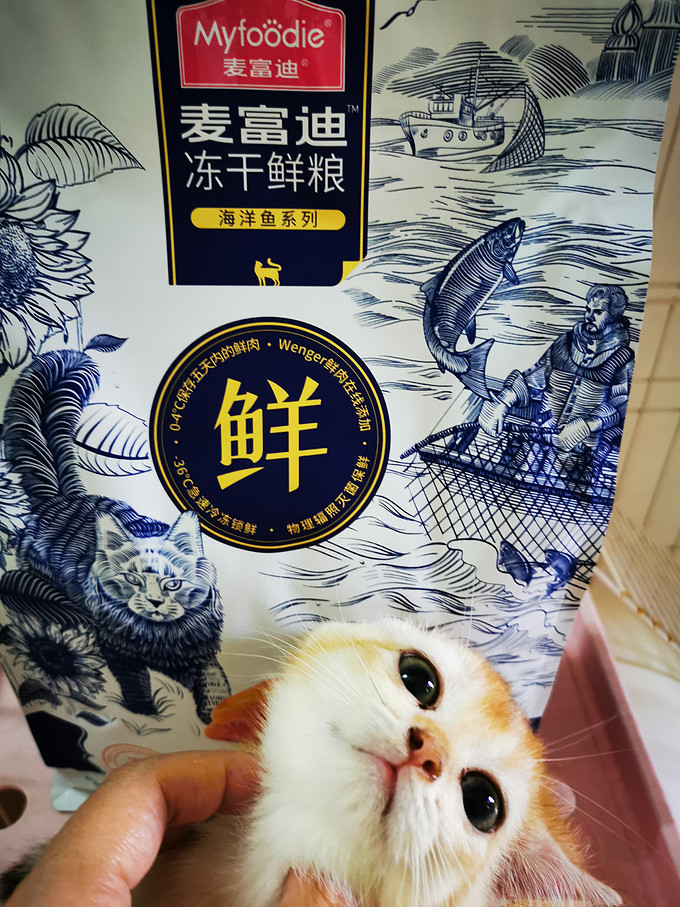 麦富迪猫粮