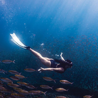 聚礁之乐 篇一：夏日浮潜入门指南，3000字带你轻松观赏海底世界（买对装备，选对潜点）