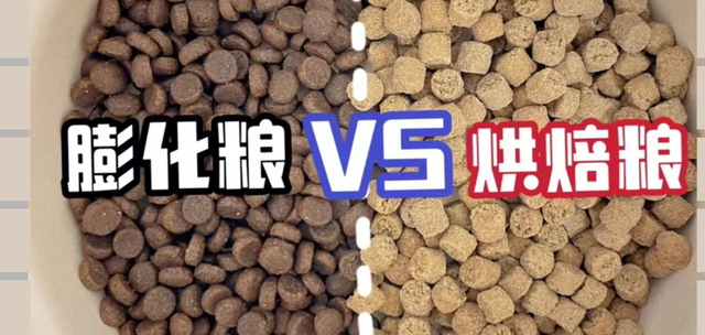 高温膨化粮VS低温烘焙粮，猫粮到底应该怎么选？