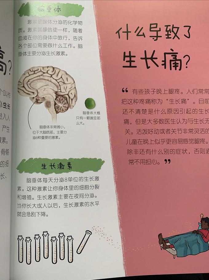 中国科学技术出版社期刊杂志