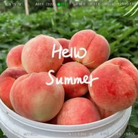 夏天的味道，吃一口就知道