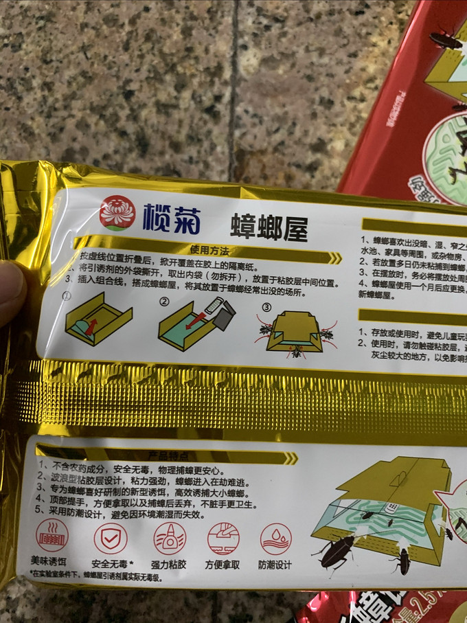 榄菊灭蟑螂