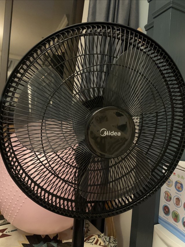 老一辈最爱的风扇还是这种经典款