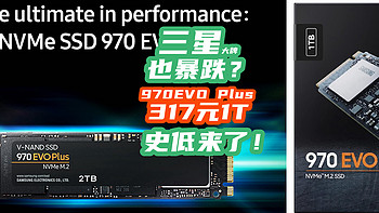 三星也绷不住了：国际大牌970 EVO Plus跌到317元1T！要买赶紧！