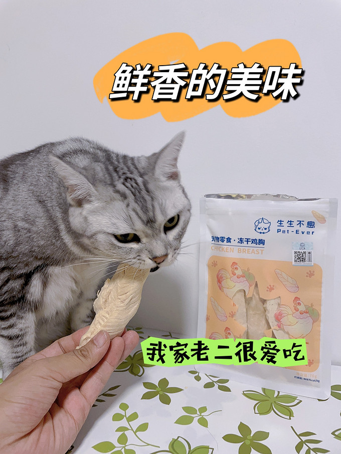 猫粮