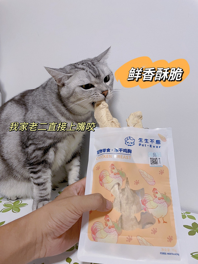 猫粮