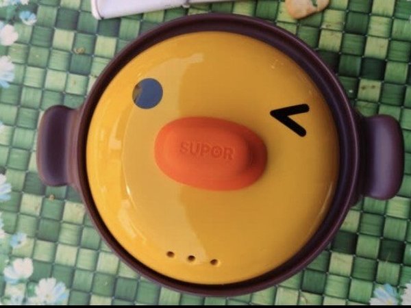 苏泊尔（SUPOR） 砂锅煲汤锅陶瓷炖汤煲仔饭