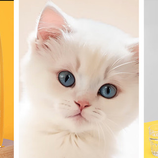 这些“试试又何妨”的猫粮，挺好！