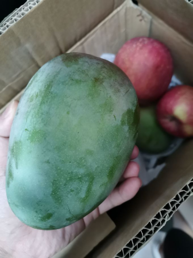自然故事芒果