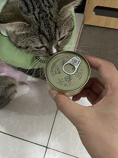 这么香的罐头，猫猫竟然不吃