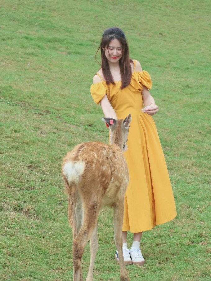连衣裙