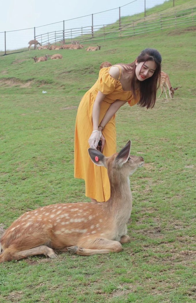 连衣裙