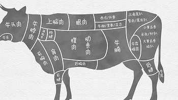 牛头、牛颈、牛上脑，牛的部位这么复杂怎么选，适合怎么做。