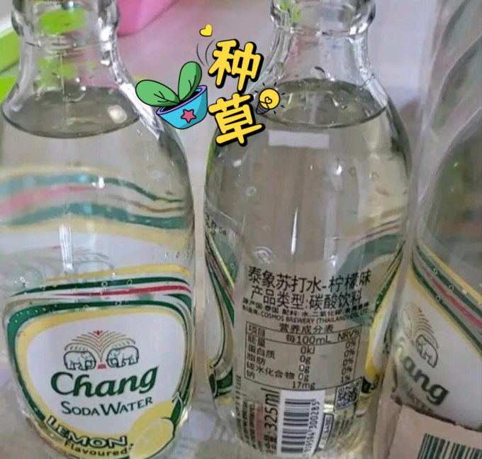 象牌起泡饮用水