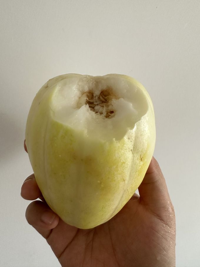 新鲜水果