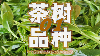 老衲的茶话会 篇四十七：77个国家级优良茶树品种，你听过几个？ 