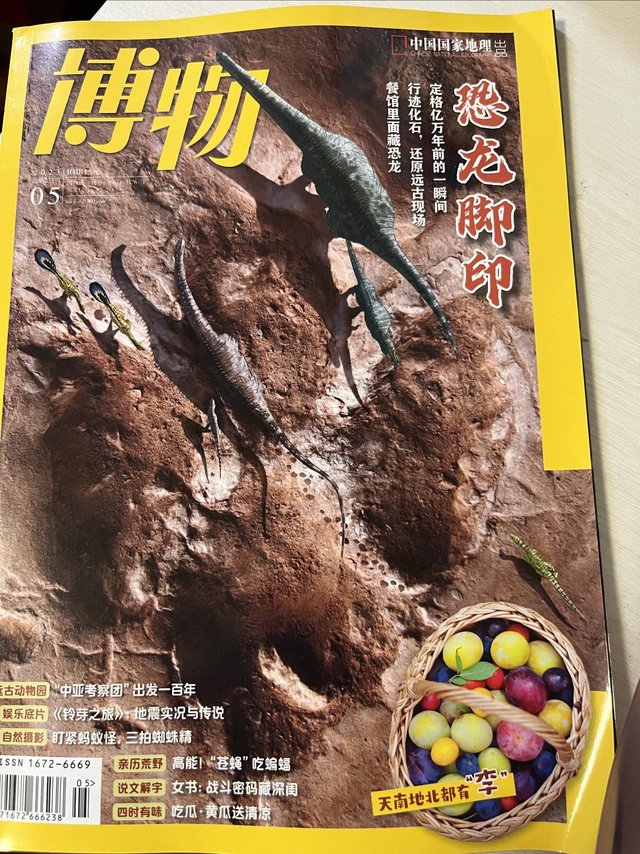 小学生必看书单