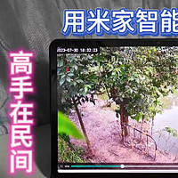 高手在民间，农村赶集偶遇高科技，小米智能摄像机实时监控卖鸭子