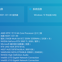 服务器进阶: AMD Eypc 7C13 + MZ01-CE1