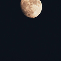 奥林巴斯40-150拍月亮凑合能看