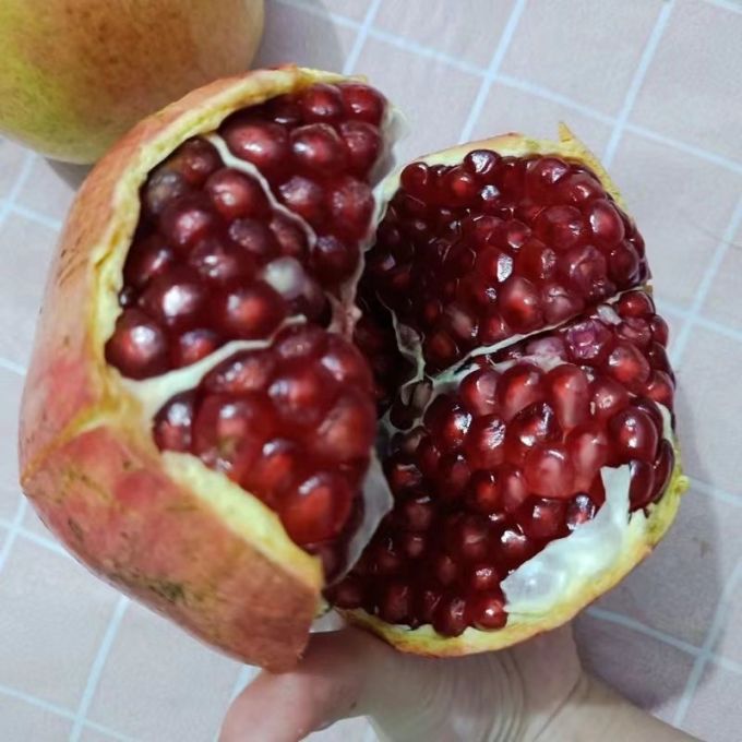 新鲜水果