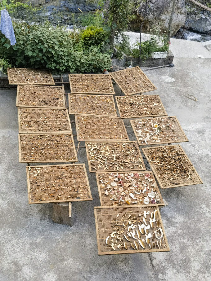 挑战者骑行运动