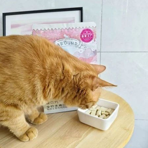 猫冻干怎么选？性价比还不错的4款猫冻干推荐