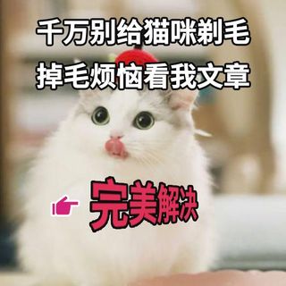 关于猫掉毛这个问题，鱼油真的重要吗？