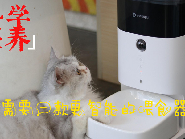 告别胖猫，你需要支持科学喂养的宠物喂食器