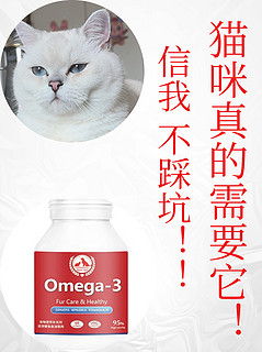 想远离猫咪蒲公英吗？看我！🆘