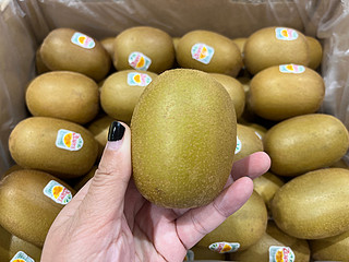 夏天也要多吃奇异果🥝