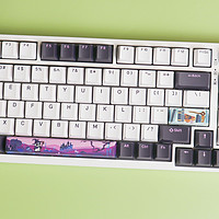 好物分享 篇一百：太卷了，379元三模机械键盘，玄派熊猫系列PD98魔法熊猫使用体验