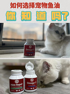 远离猫咪牌“蒲公英”秘籍❗️❗️