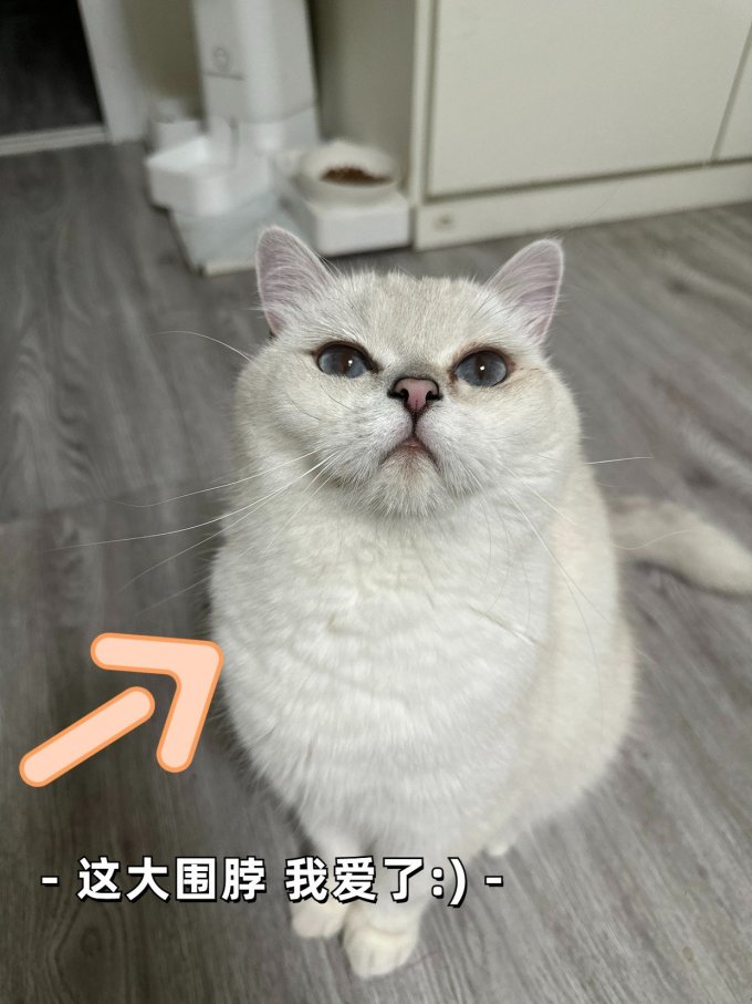 幼伟强化免疫