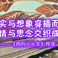 陪娃与书伴 篇六十五：现实与想象穿插而行，亲情与思念交织成网——《两列小火车》荐读