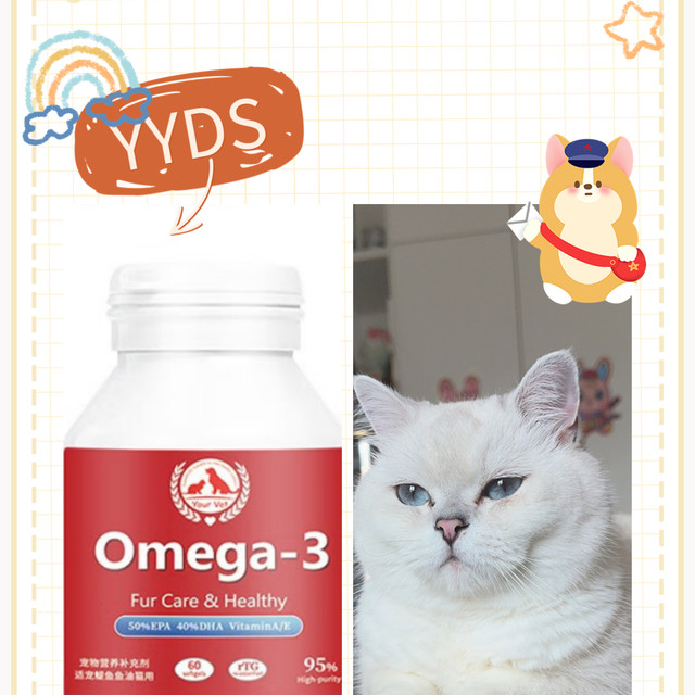 给猫咪喂鱼油到底是不是智商税❓❓