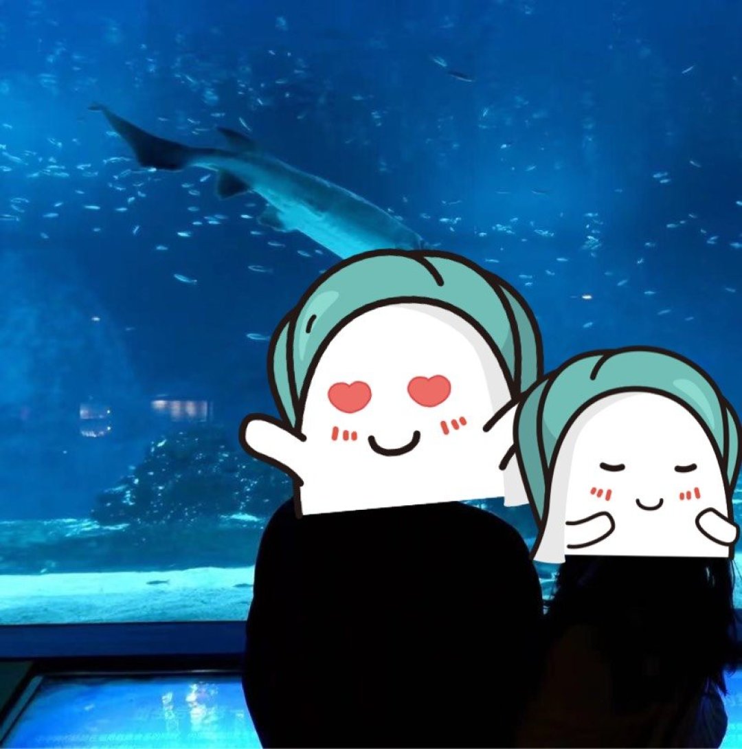 情侣拍照圣地海洋馆