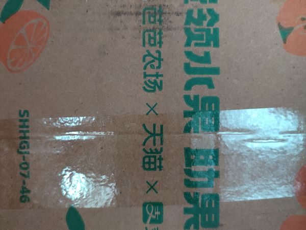 果园又熟了，到手两个芒果，催熟中