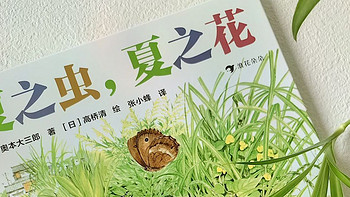 优质童书 篇十八：小清新绘本《夏之虫，夏之花》，关于夏天的唯美图鉴