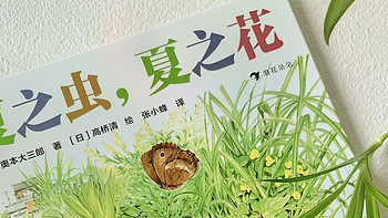 小清新绘本《夏之虫，夏之花》，关于夏天的唯美图鉴