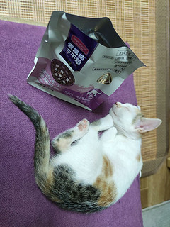 小猫咪喜欢这个2块5一包的麦富迪猫粮…