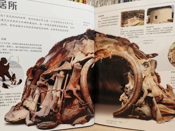 大开眼界!DK新作,内涵与颜值并存