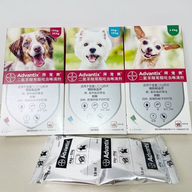 夏季遛狗如何预防蜱虫