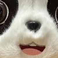 成都大运会吉祥物蓉宝