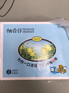 柚香谷宋柚乳酸菌风味饮料