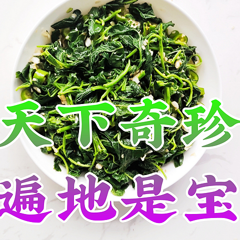 夏日美食分享——北方常见的野生苋菜——手把手教你做成可口小凉菜